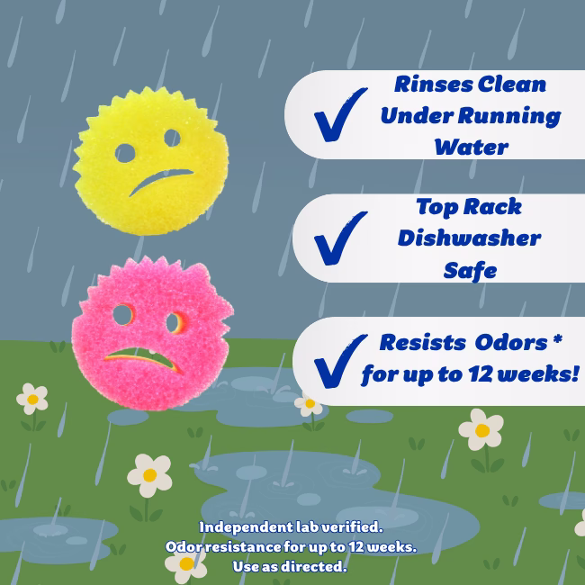 Image Description: A product features infographic set against a rainy outdoor background with flowers, featuring a yellow and a pink Cranky Couple sponge on the left and three checkmark callouts on the right detailing that they rinse clean under running water, are top-rack dishwasher safe, and resist odors for up to 12 weeks.